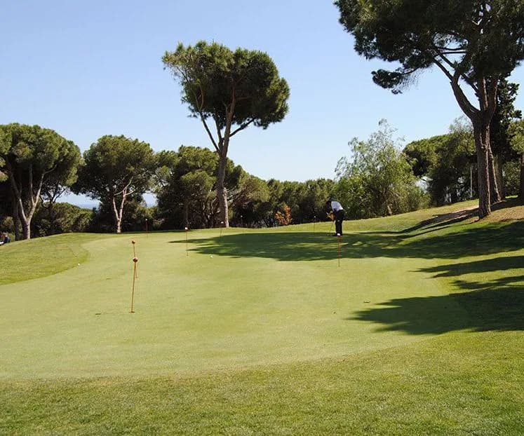 Golf & Pitch & Putt