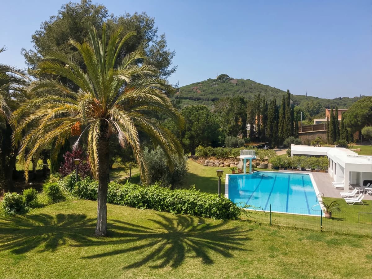 Tropical garden with palm trees and pool