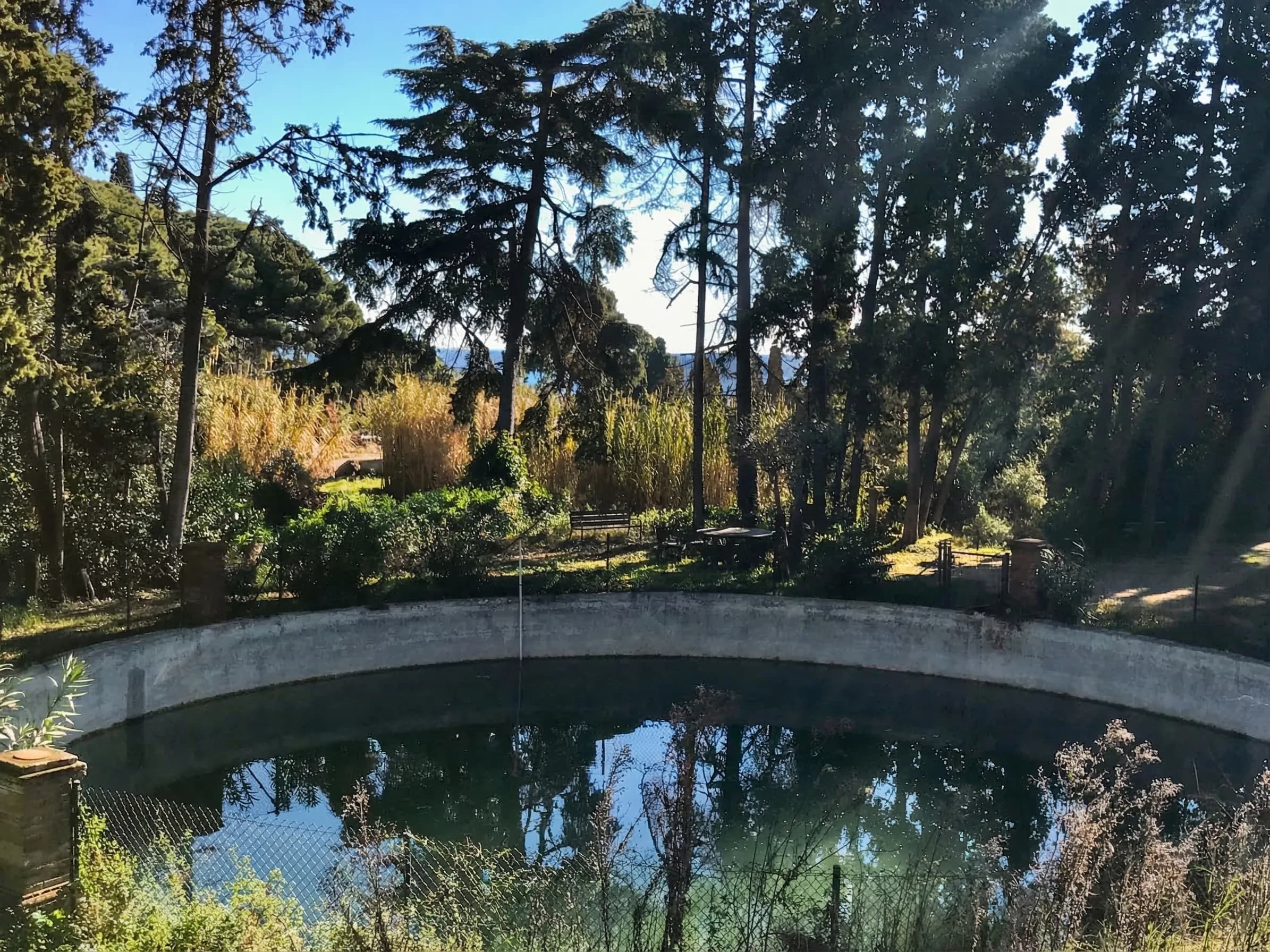 Garden with ornamental round pond