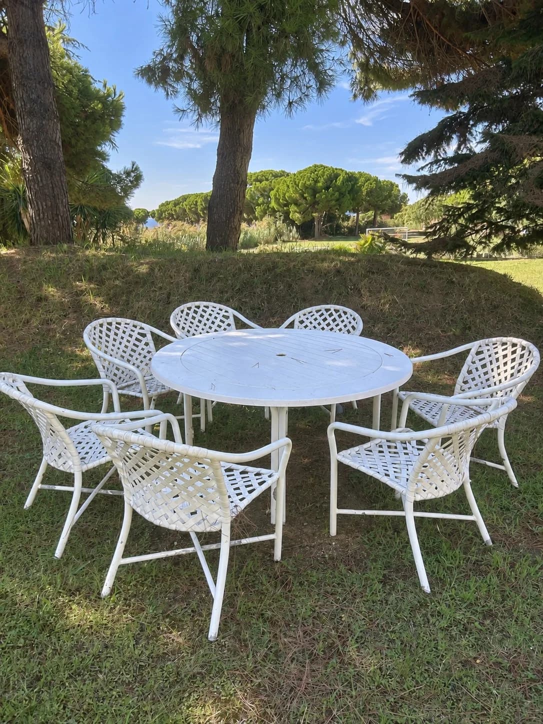 Long table set in the private garden