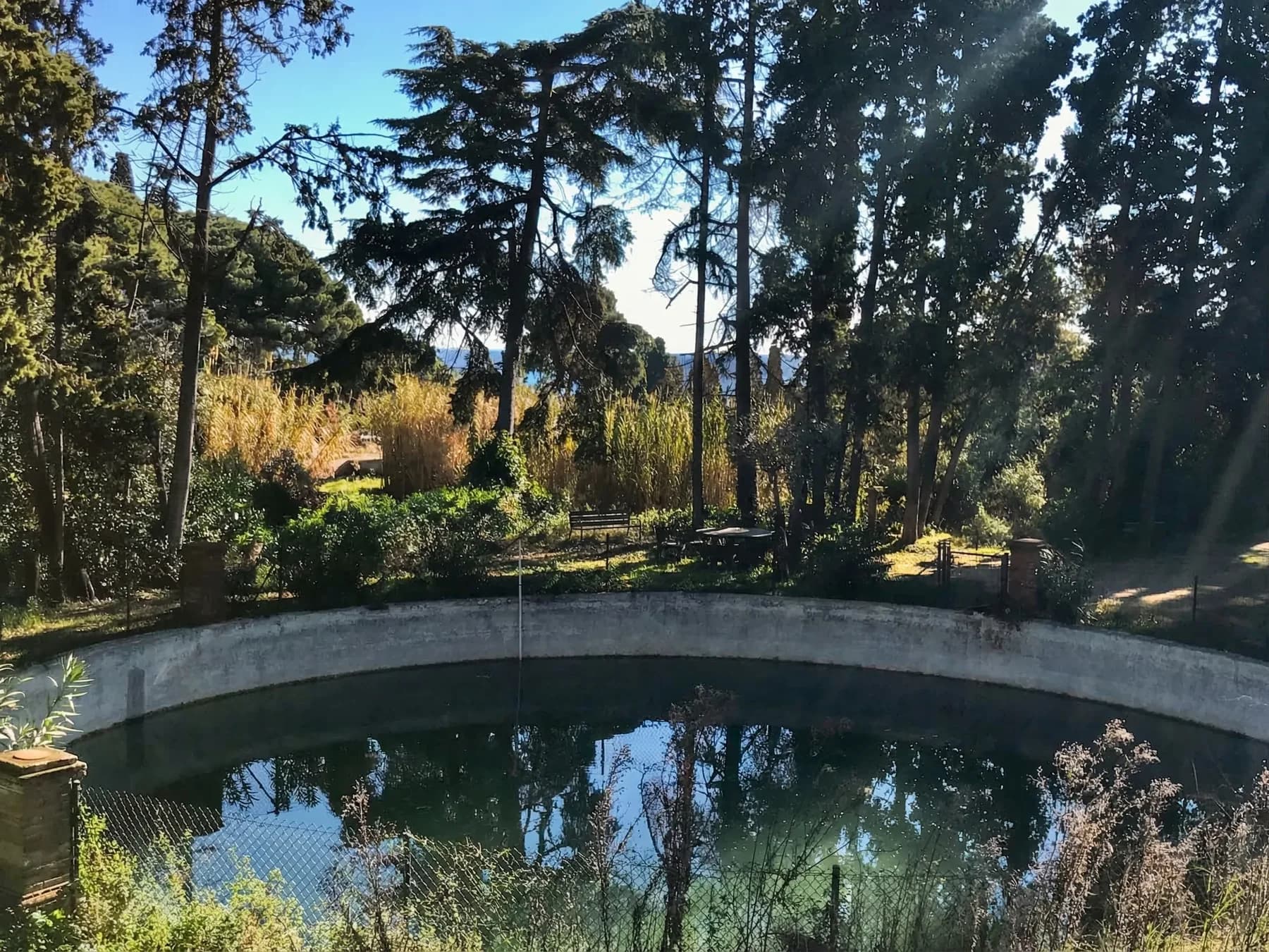 Woodland and garden